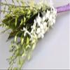 Classic White Orchid Bridesmaid Bouquet view 1