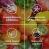 Nature's Sunshine Super Supplemental: Complete Multivitamin with Minerals, Antioxidants & More for Nutritional Gaps, Overall Health, Immune & Energy Support. 120 Tabs view 4