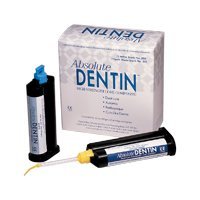 ABSOLUTE DENTN CORE 50ML TOOTH S301 by BND (Single Pk) PARKELL