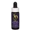 Flower Essence Services Essence, California Pitcher Plant, 0.25 Ounce view 1