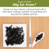 Emerald Cove Pacific Arame, Non-GMO Dried Seaweed, Hijiki Substitute, 1.76 oz (pack of 6) view 3