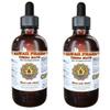 Yerba Mate (Ilex Paraguariensis) Liquid Extract 2x2 fl.oz view 1