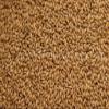 Maris Otter Malt (10 lb) view 1