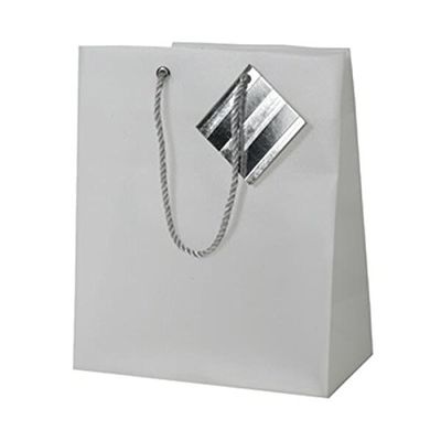 JAM Paper Opaque Shopping Bags - Small - 7 1/2 x 9 x 4 - Clear -Sold Individually