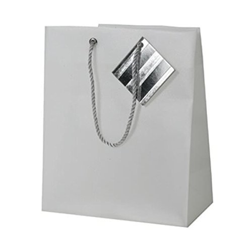 JAM Paper Opaque Shopping Bags - Small - 7 1/2 x 9 x 4 - Clear -Sold Individually