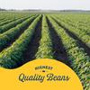 Bush's Best Reduced Sodium Garbanzos Chickpeas, Source Of Plant Based Protein And Fiber, Low Fat, Gluten Free, 16 oz view 4
