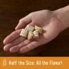 Kellogg's Breakfast Cereal, Frosted Mini-Wheats, Little Bites, Original, Low Fat, Excellent Source of Fiber, 15.2 oz Box view 2