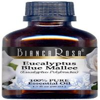 Eucalyptus Blue Mallee Essential Oil (1.70 oz, ZIN: 429106)