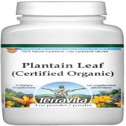 Plantain Leaf (Certified Organic) Powder (4 oz, ZIN: 518661)