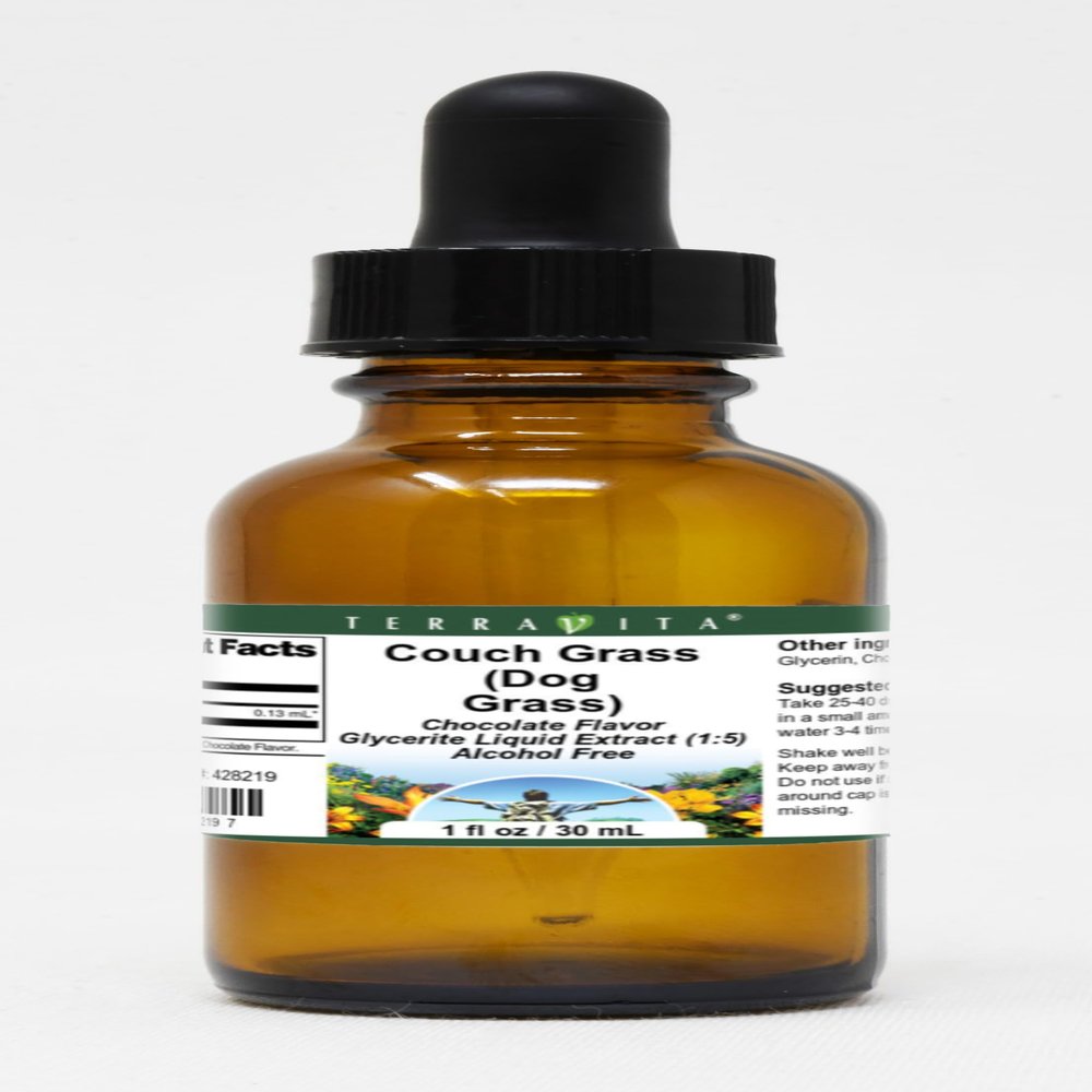 Couch Grass (Dog Grass) - Glycerite Liquid Extract (1:5) - Chocolate Flavored (1 fl oz, ZIN: 428219)