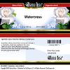 Bianca Rosa Watercress - Salve Ointment (2 oz, ZIN: 428637) view 3