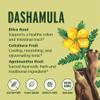 Banyan Botanicals Dashamula Powder  Calming Ayurvedic Formula  Organic Stress Supplement with Organic Gokshura Fruit & Bilva Fruit 1 lb  Certified Organic, Non-GMO, Vegan, Gluten Free view 3