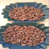 110 lbs (50 KILOS, full bag) BOLIVIA ALTO BENI, CERTIFIED-ORGANIC, HEIRLOOM RAW CACAO/COCOA BEANS view 1