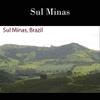 130 lbs BRAZIL SUL MINAS NATURAL PROCESS SPECIALTY AAA GREEN COFFEE BEANS view 4