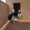 8 lbs BOLIVIA ABC ORGANIC WALIKEEWA RAW CACAO/COCOA BEANS view 4