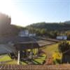 10 lbs BRAZIL Fazenda Cachoeira da Grama Pulped-Natural AAA Green coffee beans view 4