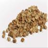 Camellias Crowder Peas, 16 OZ view 3