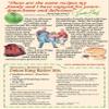 Original WhistleStop Cafe Recipes | Onion Ring Batter Mix (1 Box) view 3