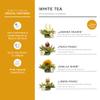 Creano Tea Gift Set Blooming Tea in Cup Size - 8 pcs Flowering White Tea with Glass Tea Cup - 7oz (200ml) view 3
