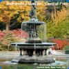 Micro-Fiber Cleaning Cloth w/New York Photography by Maloratsky ; Bethesda Foun view 1