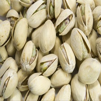 Pistachio Nuts with Sea Salt Bulk 5 lbs,