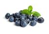 Fresh Frozen Organic Blueberries by Northwest Wild Foods - Healthy Antioxidant Fruit Diet - for Smoothies, Pies, Jams, Syrups (4.5 Pounds) view 1