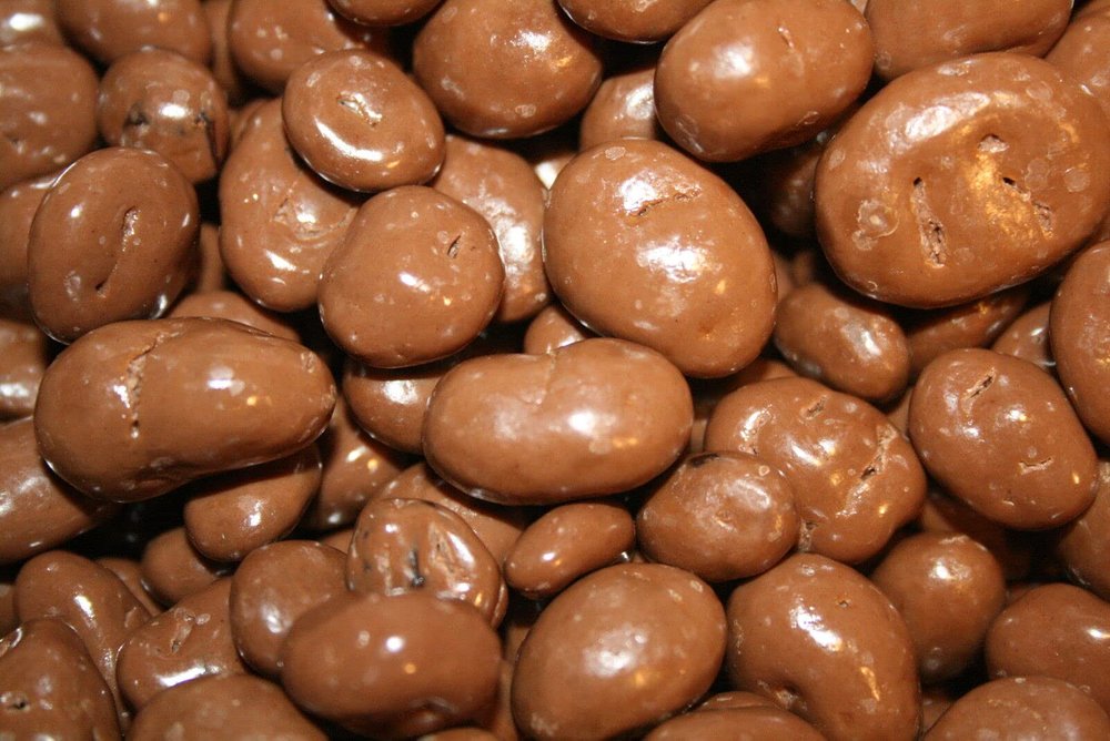 Bayside Candy Milk Chocolate Collection No Sugar Added Milk Chocolate Raisins (1LB)