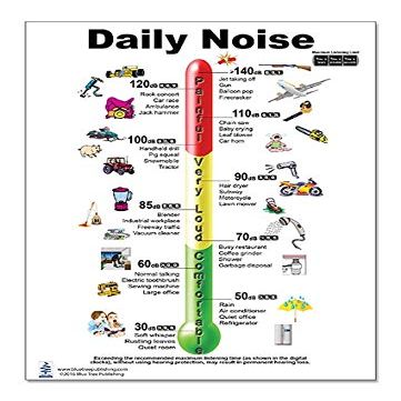 Blue Tree Publishing Daily Noise Poster, Audiologist, Common Sounds and Levels (12x17)