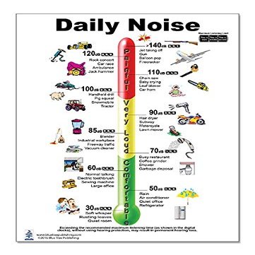 Blue Tree Publishing Daily Noise Poster, Audiologist, Common Sounds and Levels (12x17)