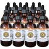 Teasel (Dipsacus fullonum) Liquid Extract 15x4 fl.oz view 1