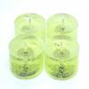 4 Pack of Coconut Lime Scented Gel Candle Mineral Oil Based Tea Lights Hand Poured in USA by The Gel Candle Company - up to 8 Hours Each view 3