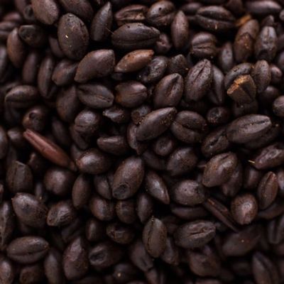 Muntons Roasted Barley Malt 1 lb