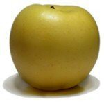 6 lbs. of Golden Delicious Apples