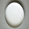 Bierley 51mm Light Gathering Dome Magnifier view 2