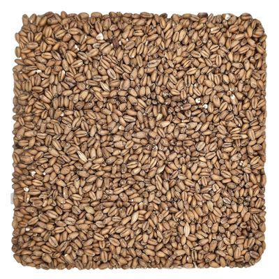 Briess Red Wheat Malt Home Brewing Malt Whole Grain 1lb Bag