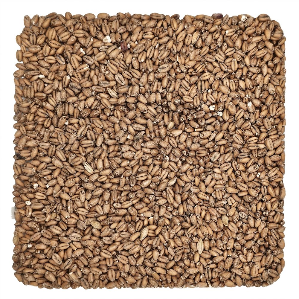 Briess Red Wheat Malt Home Brewing Malt Whole Grain 1lb Bag