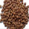 Laxmi Kala Chana Black Chickpeas - Whole Chana, 2 Pound Bag view 3