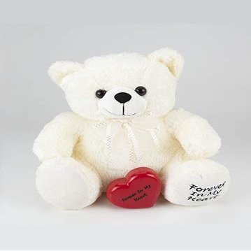 Pet Cremation Urn,Teddy Bear. Quality White Teddy Bear Keepsake Urn. A Nice Sized, Huggable Memorial For Both Adults And Children.