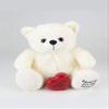 Pet Cremation Urn,Teddy Bear. Quality White Teddy Bear Keepsake Urn. A Nice Sized, Huggable Memorial For Both Adults And Children.