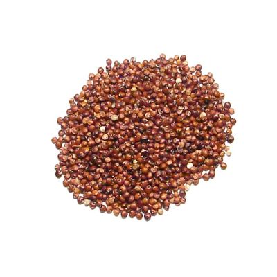 Red Quinoa Seed-8oz-Whole Grain Gluten Free Red Quinoa