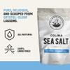 Ava Jane's Kitchen - Colima Coarse Sea Salt - 100% Unrefined, Natural, and Hand-Harvested - Protects Heart - Shapes Figure - Boosts Mood, 227 Servings view 3