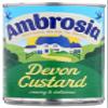 Ambrosia Custard Devon, 14.1 Oz Can view 1
