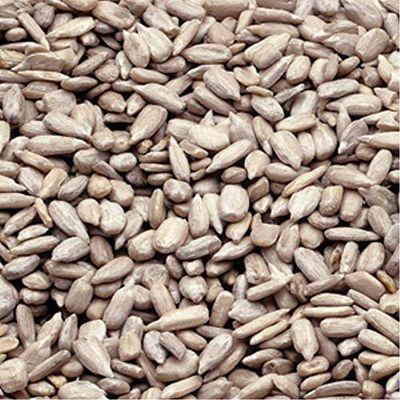 Azar Nut Oil Roasted Unsalted Sunflower Kernel, 25 Pound -- 1 each.