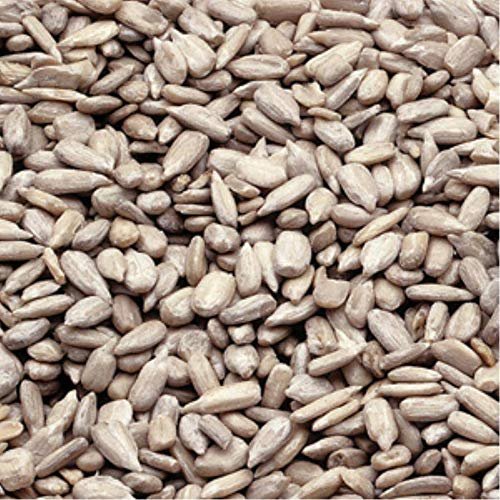 Azar Nut Oil Roasted Unsalted Sunflower Kernel, 25 Pound -- 1 each.