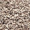 Azar Nut Oil Roasted Unsalted Sunflower Kernel, 25 Pound -- 1 each. view 1