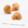 McCain Golden Crisp Battered Halves Mushroom - Appetizer, 2 Pound -- 6 per case. view 1