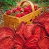 Brothers All Natural Fruit Crisp Strawberry 0.26 Ounce (Pack of 12) view 4