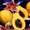 9 Pieces of Hawaiian Papaya view 2