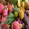 Exotic Fruit Box (5lb) view 2