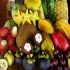 Exotic Fruit Box (5lb) view 3